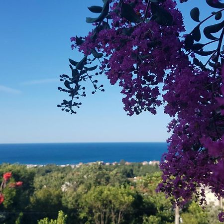 Vila Pogled Petrovac Exteriér fotografie