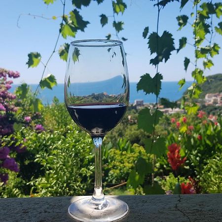 Vila Pogled Petrovac Exteriér fotografie