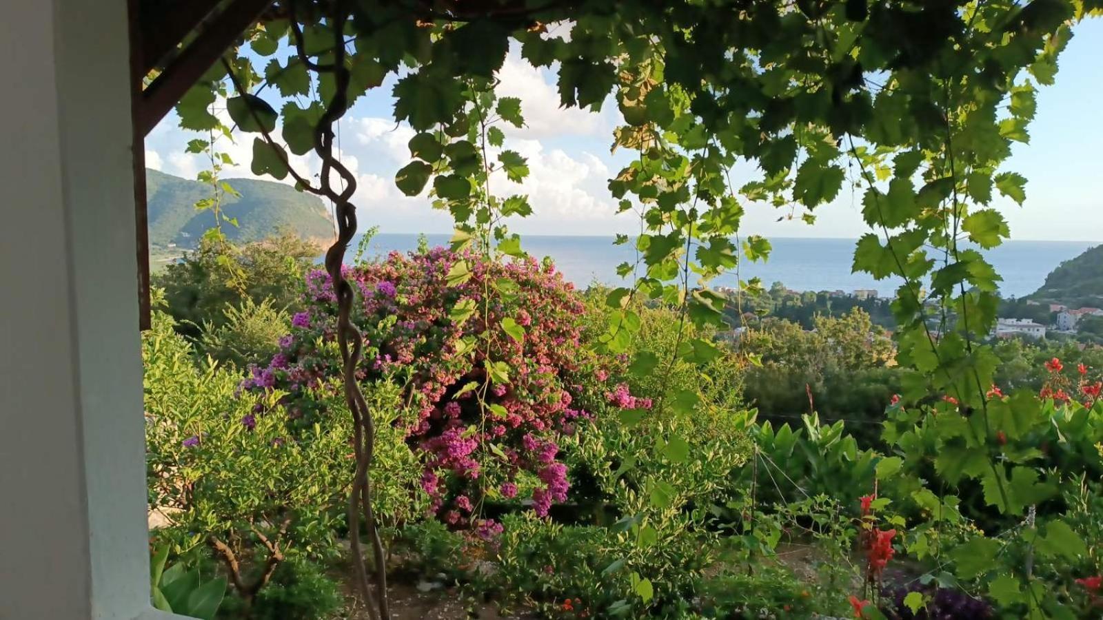 Vila Pogled Petrovac Exteriér fotografie