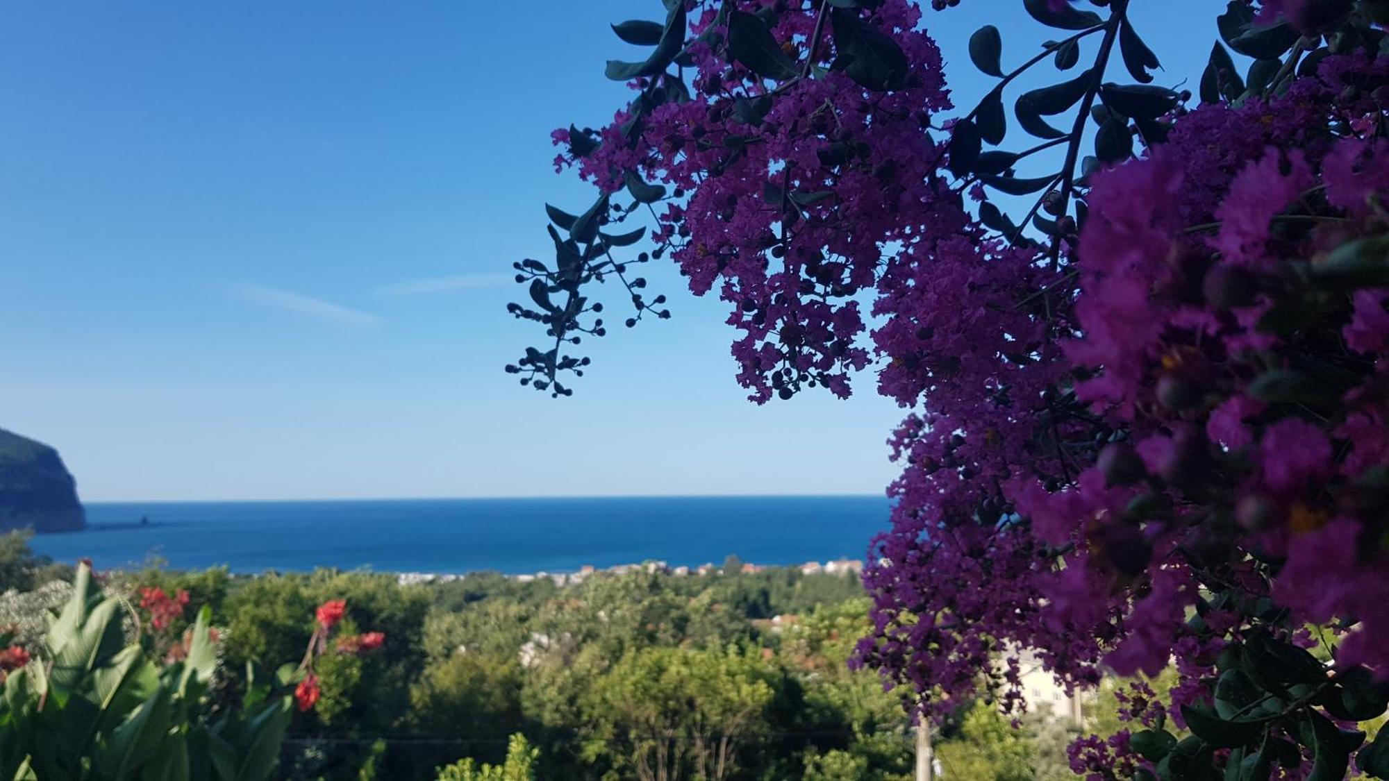 Vila Pogled Petrovac Exteriér fotografie