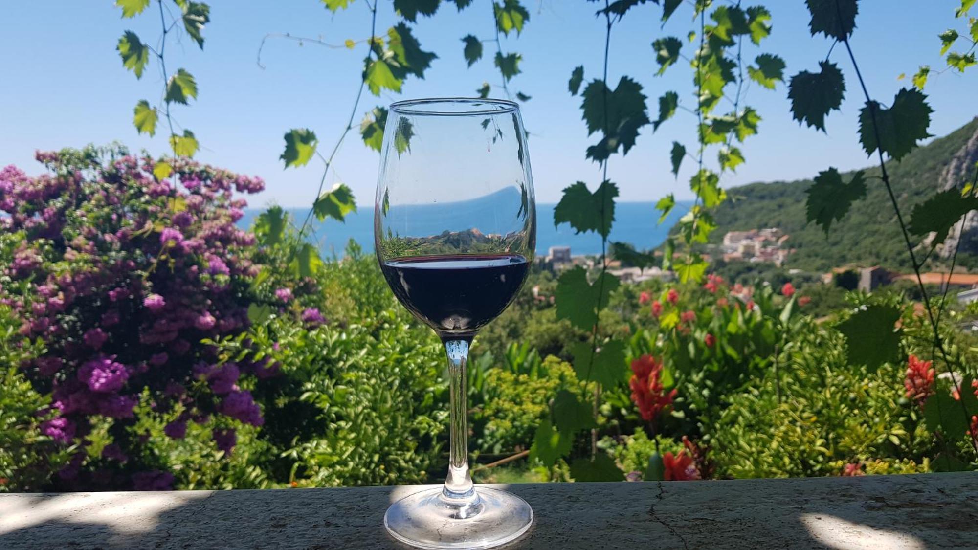 Vila Pogled Petrovac Exteriér fotografie